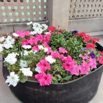 IMG-20240320-WA0024