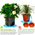 7-gallon-grow-bag