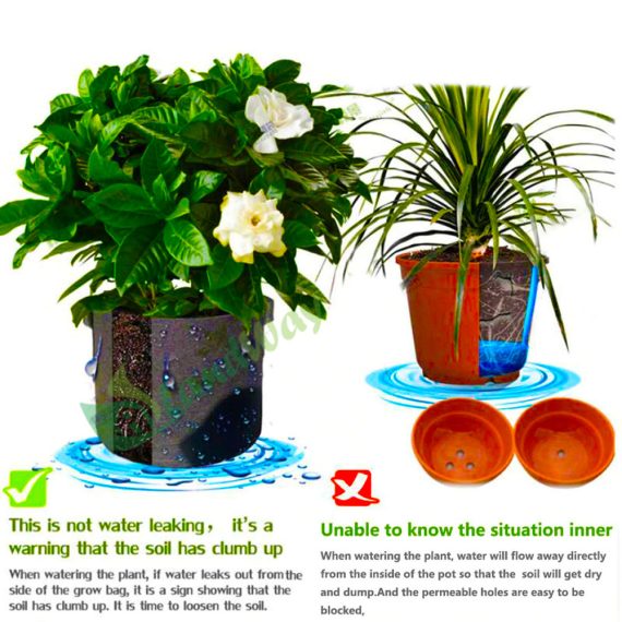 7-gallon-grow-bag
