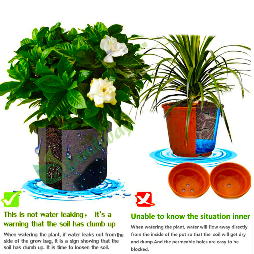 7-gallon-grow-bag