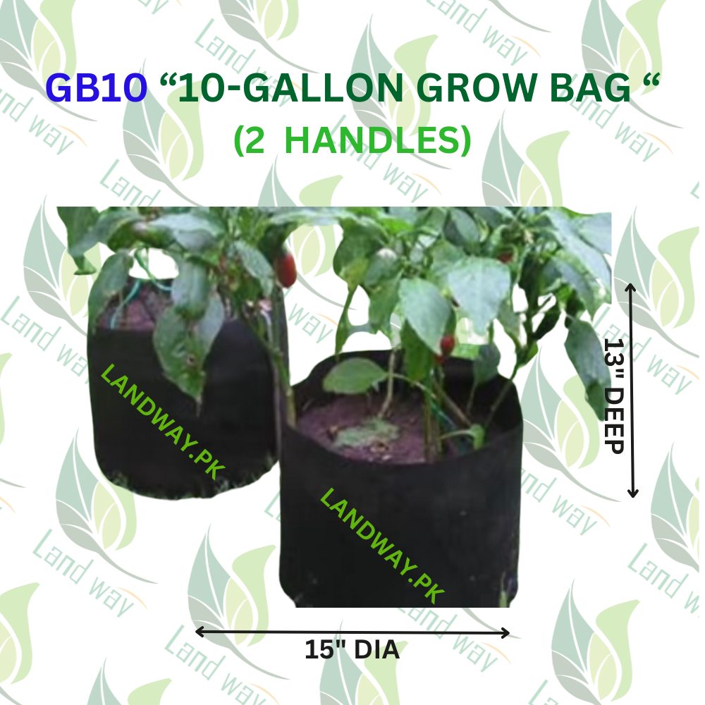 10-G-1