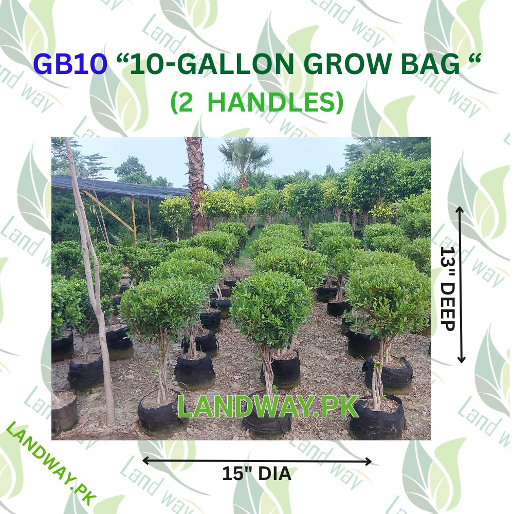 10-G-2