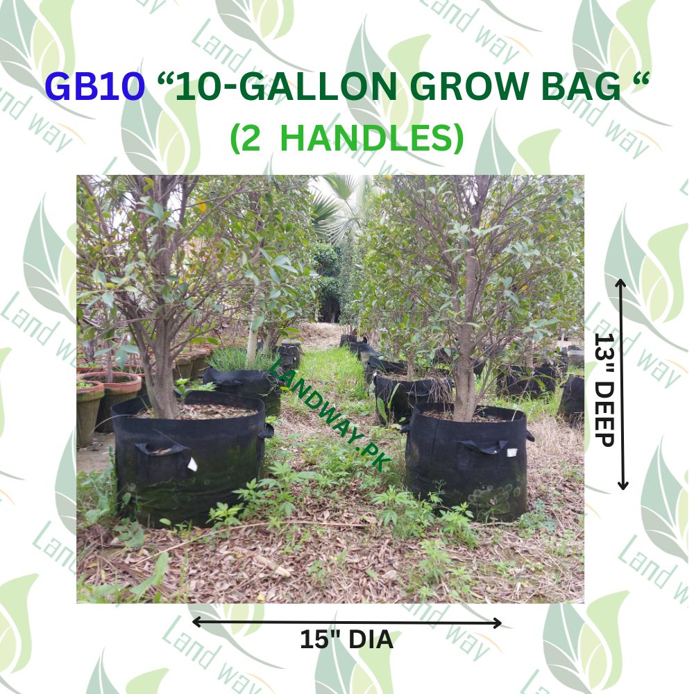10-G-3