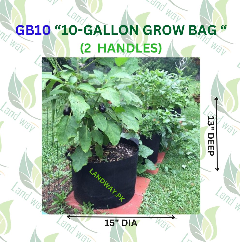 10-G-4