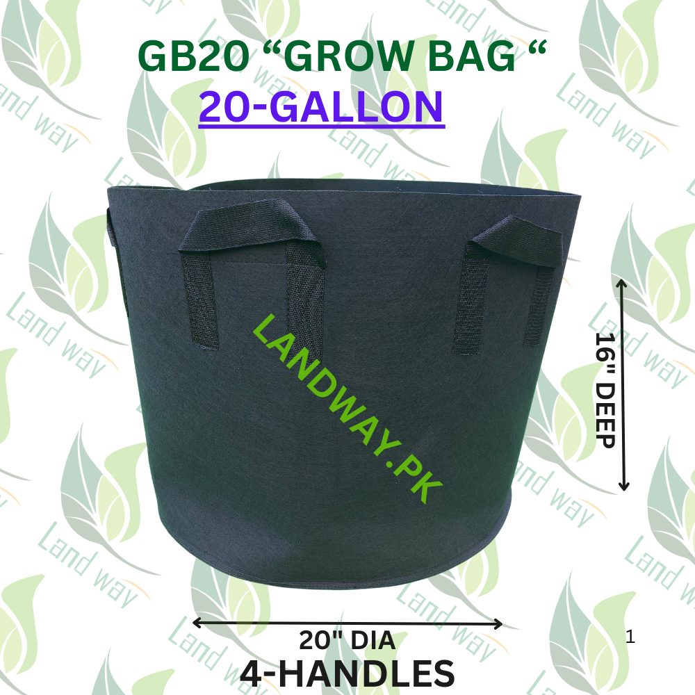 GB-20-TITLE