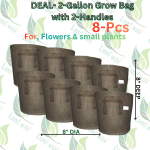 2-G-WH DEAL 999