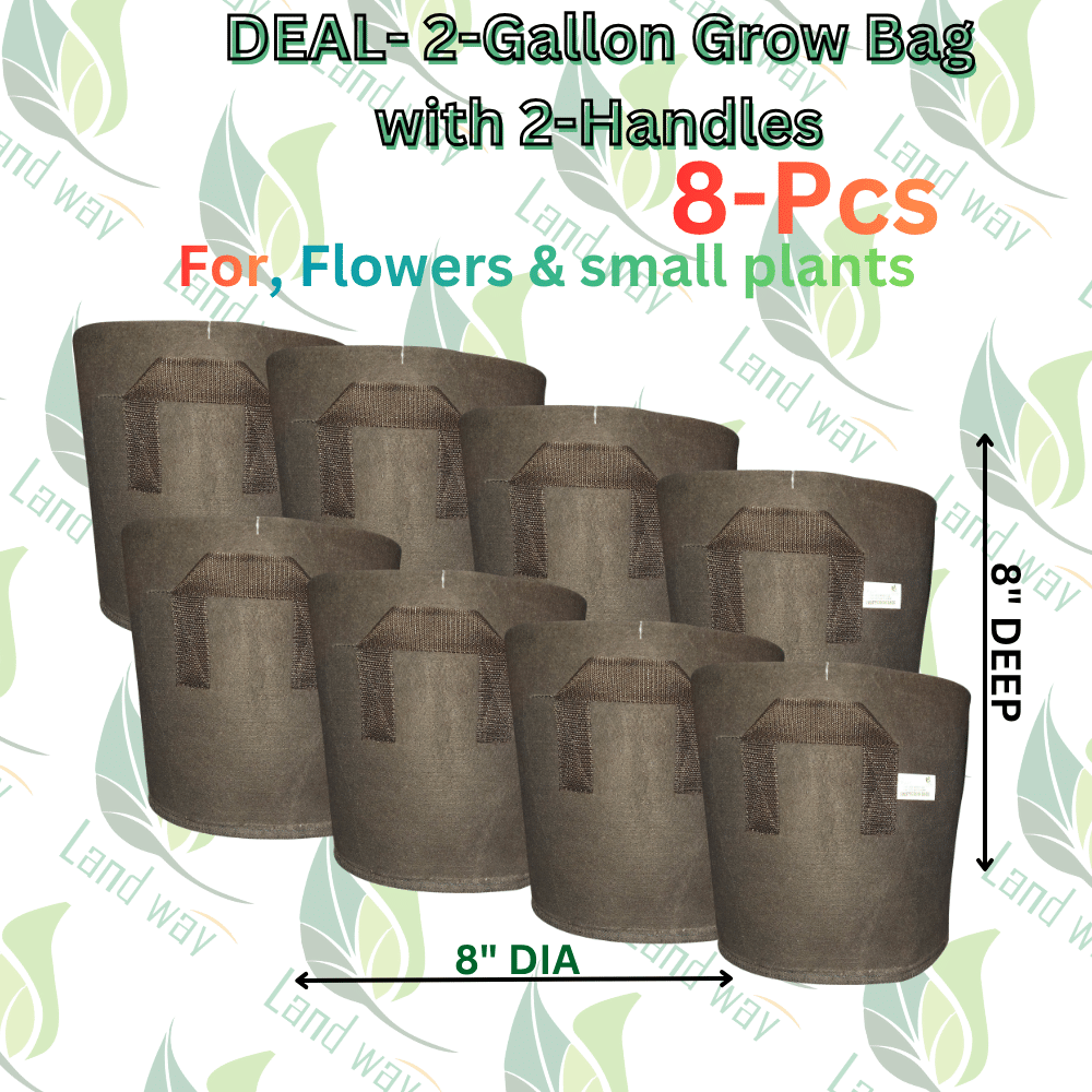 2-G-WH DEAL 999