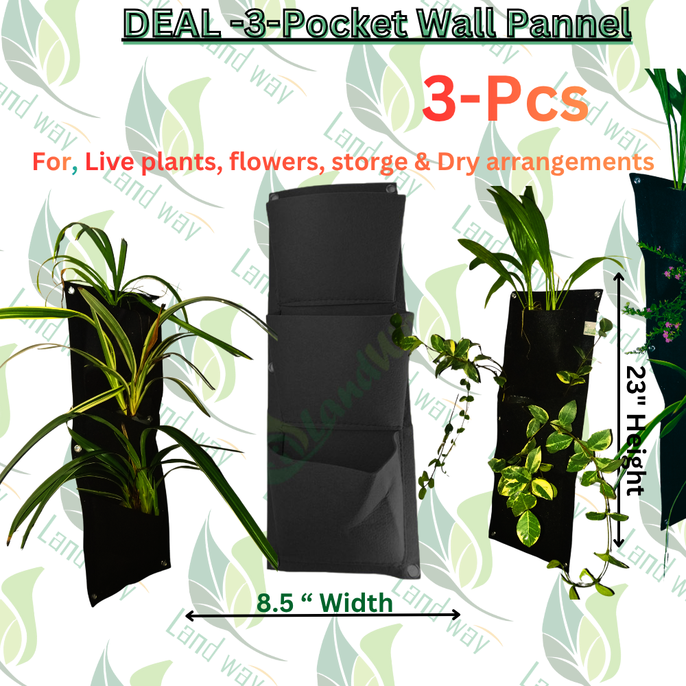 3-PVG DEAL 999