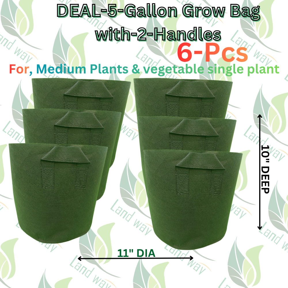 5-G DEAL 999